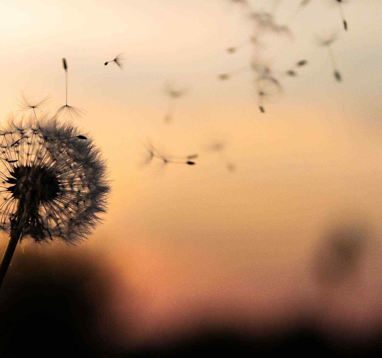 https://karynconsulting.com/wp-content/uploads/2018/09/post_02-1280x1200.jpg