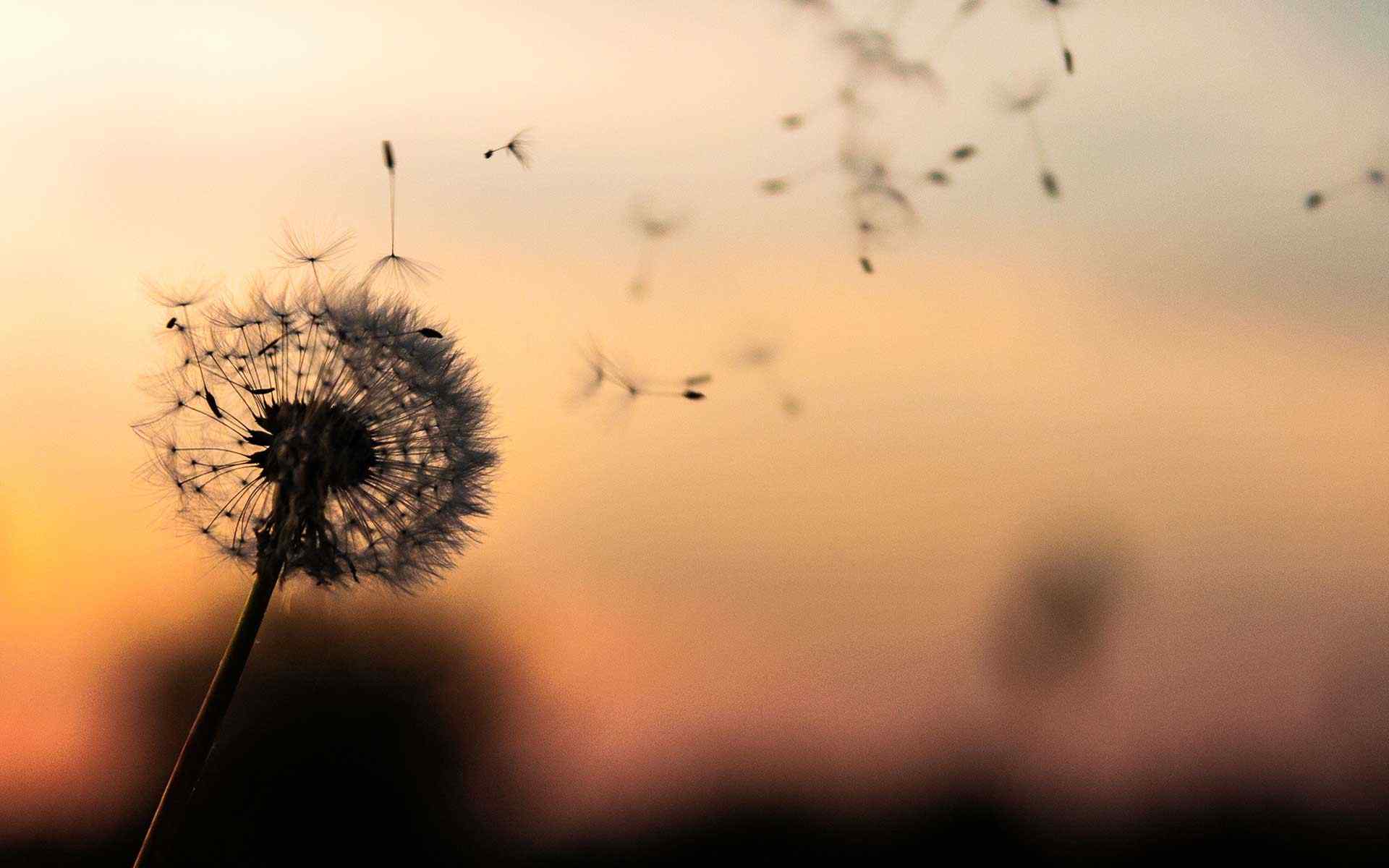 https://karynconsulting.com/wp-content/uploads/2018/09/post_02.jpg