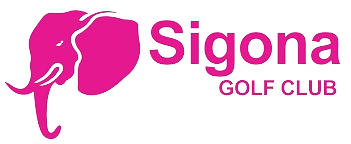 download-removebg-preview (1)